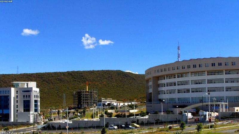 免费91网页极速直达服务首页